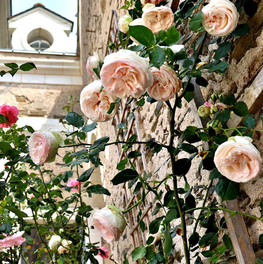 La Demeure De L'Aubance Bed and Breakfast Saint-Mélaine-sur-Aubance Exteriör bild