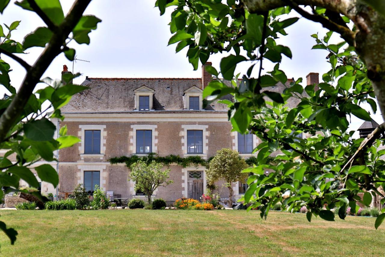 La Demeure De L'Aubance Bed and Breakfast Saint-Mélaine-sur-Aubance Exteriör bild