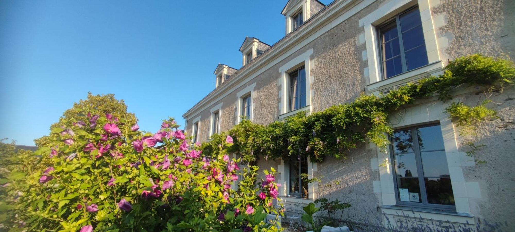 La Demeure De L'Aubance Bed and Breakfast Saint-Mélaine-sur-Aubance Exteriör bild