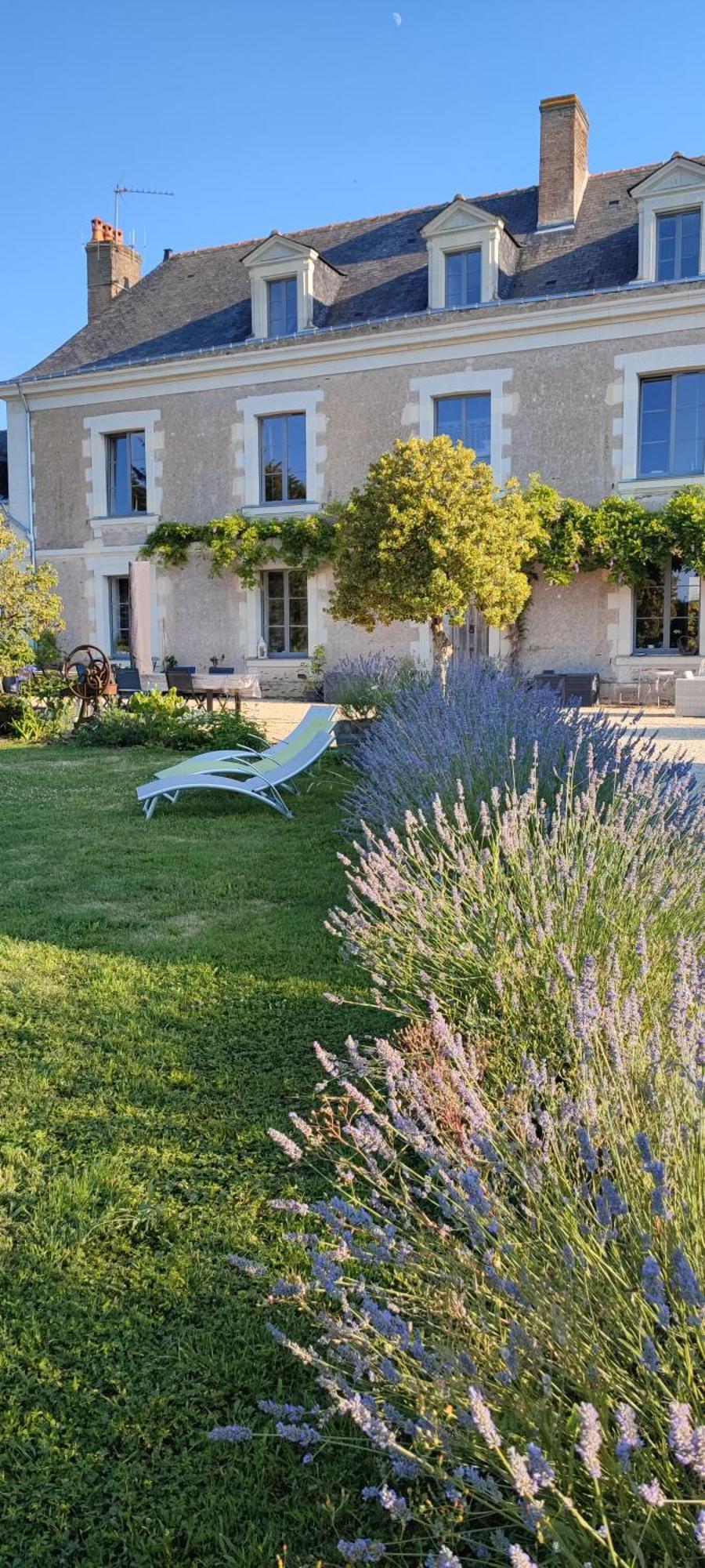 La Demeure De L'Aubance Bed and Breakfast Saint-Mélaine-sur-Aubance Exteriör bild