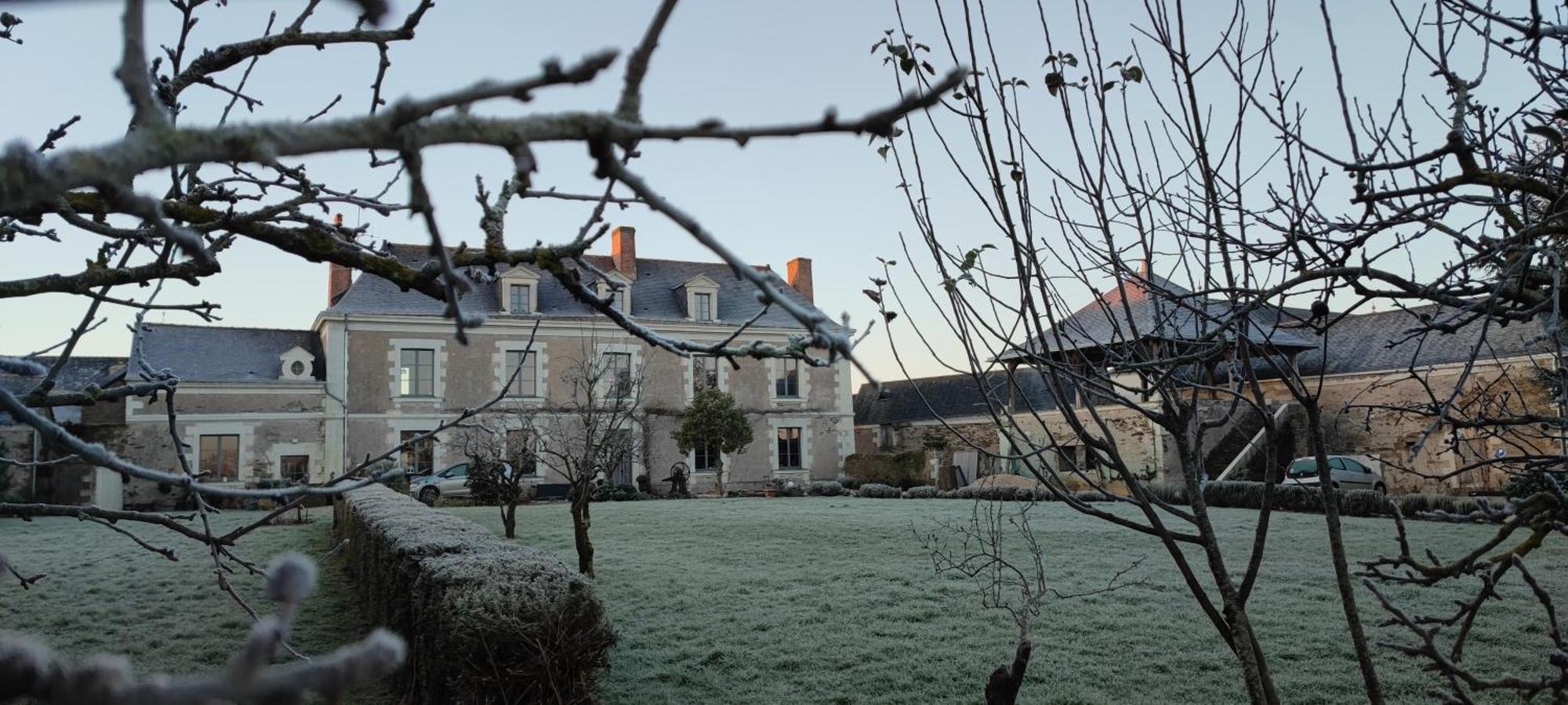 La Demeure De L'Aubance Bed and Breakfast Saint-Mélaine-sur-Aubance Exteriör bild